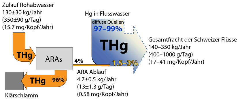 Ermittelte Gesamt-Quecksilber-Frachten der Schweizer ARAs und der Oberflächengewässer. Der Beitrag der ARAs zur schweizerischen Gesamt-Quecksilber-Fracht der Oberflächengewässer ist mit ca. 1.5–3% relativ gering. Beispiele potenzieller diffuser Quellen sind atmosphärische Deposition, Bodenerosion und Abschwemmung, oder historische Quellen wie z.B. Quecksilber in Seesedimenten aus früheren Ablagerungen. (Grafik: Michael Berg)