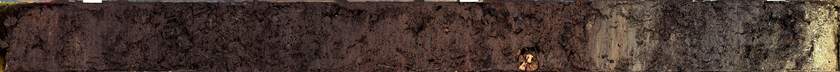 Dieser Sedimentkern wurde in Ufernähe entnommen. Der braune Teil links ist die im Artikel erwähnte Humusschicht. Die dunkelgrauen Schichten rechts sind Seesedimente (Foto: Remo Röthlin) 