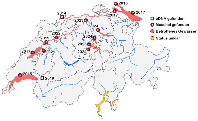 Grafik: Haltiner et al. 2022, überarbeitet) 