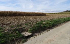 L’eau provenant du champ et du chemin agricole est acheminée par de telles bouches d’égout directement dans le cours d’eau le plus proche - un court-circuit hydraulique. (Photo : Eawag, Urs Schönenberger)