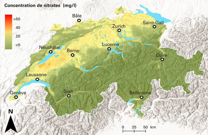 Concentrations de nitrates estimées par des modèles d’IA. Les zones critiques s’observent surtout au sud du lac de Neuchâtel et au nord de Zurich. (Graphique: Gustavo Covatti, Eawag (Covatti et al., STOTEN, 2025))