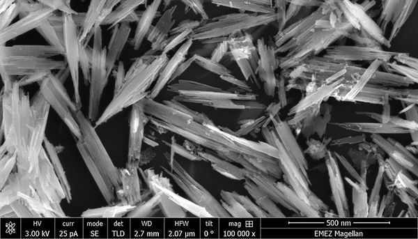 Synthetic silver  nanoparticles , magnified by a factor of 100,000 (Eawag, Ralph Kägi)