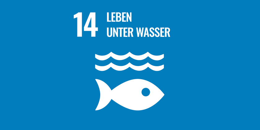 Ziel 14 – Leben Unterwasser