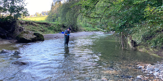 At the sampling sites, various water quality parameters  are measured as well.