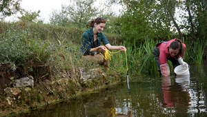 Taking sediment samples at Hoobach in Schaffhausen. (Photo: Andri Bryner)