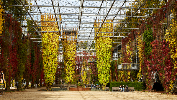 Der MFO Park in Zürich Oerlikon zeigt, wie Begrünung zur Gestaltung und Kühlung von urbanen Räumen für Natur und Mensch genutzt werden kann. (Foto: Eawag, Max Maurer) 