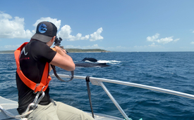 A special air rifle is used to collect skin samples from a humpback whale for research. (Photo: Michael Burkard)