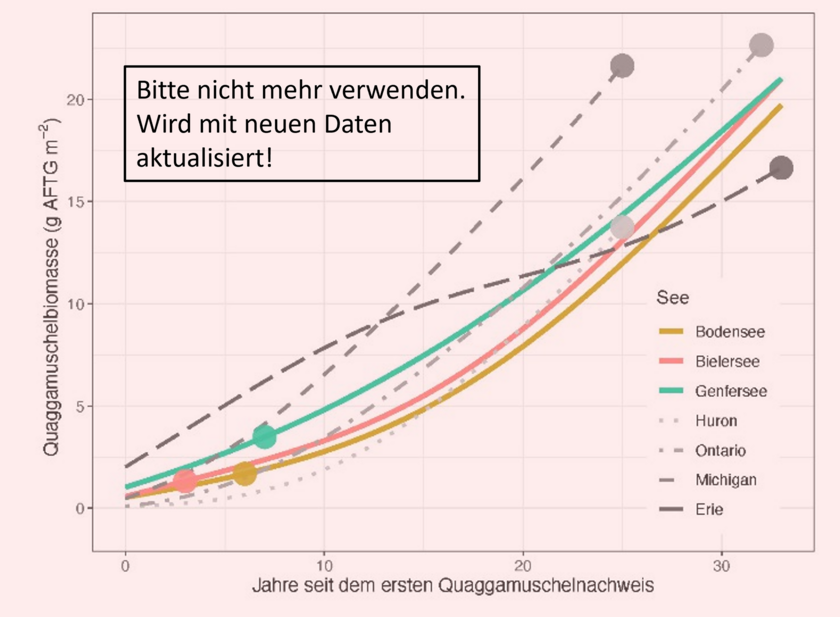Bestimmungsmerkmale, Präventionsmassnahmen oder Kontaktpersonen: Hier finden Sie die Antwort auf die häufigsten Fragen.