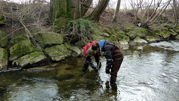 Probenahme an der Salmsacher Aach