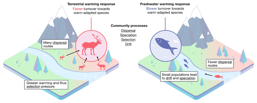 Illustration: la nouvelle approche intégrative semble indiquer que les écosystèmes terrestres sont plus touchés par le réchauffement climatique que les écosystèmes aquatiques.  