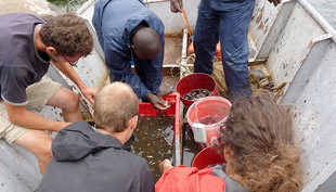 Fieldwork on Lake Victoria