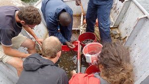 Fieldwork on Lake Victoria