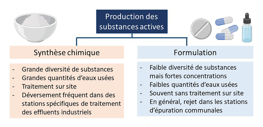 Différences typiques entre industries de synthèse et de transformation dans le domaine pharmaceutique. (Graphique élaboré avec biorender.com)