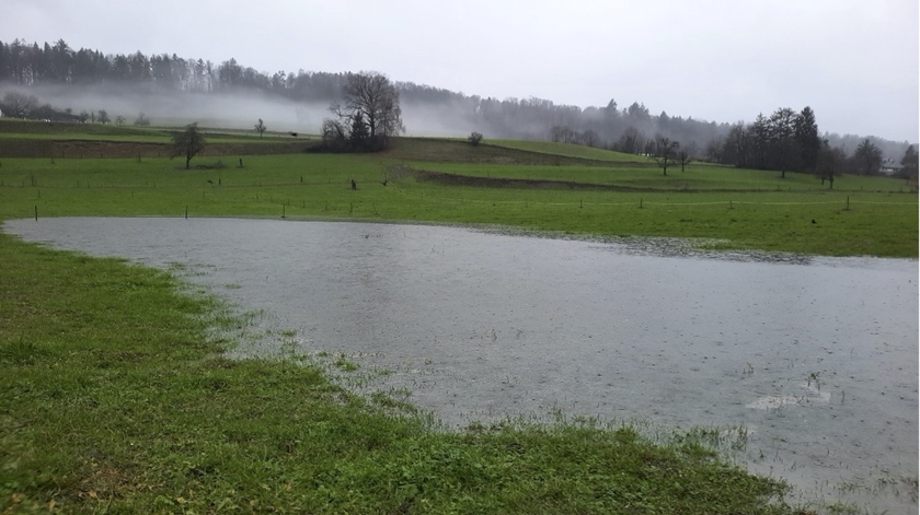 This project explores how periodic waterlogging may promote the seasonal release of trace elements from soils into water resources in a changing climate.
