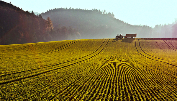 Les produits phytosanitaires peuvent encore être détectés dans les sols bien après leur application. Photo : Markus Bolliger, Ofev