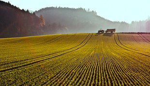 Many years after pesticides are applied, residues can still be detected in soils. (Photo: Markus Bolliger, FOEN)