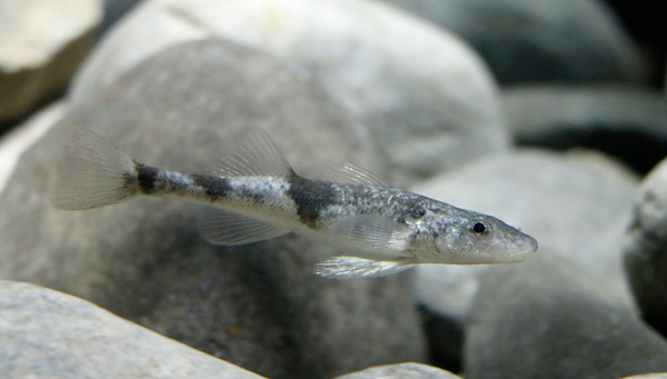 Photo: Aquatis Aquarium-Vivarium de Lausanne