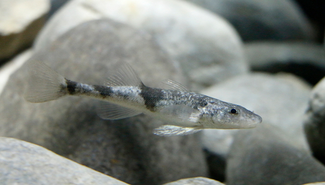 Photo: Aquatis Aquarium-Vivarium de Lausanne