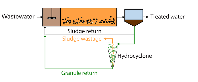 Hydrocyclones separate the lighter sludge flocs from the denser granules. Only the granules are then returned to the activated sludge tank, where they gradually accumulate. (Graphic: Eawag)