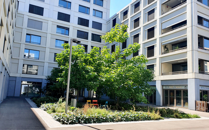 ... parc avec arbres dans une cour intérieure sur un parking souterrain 