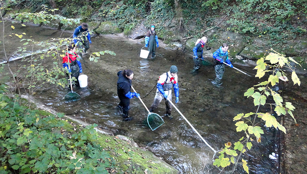 Fish sampling at river Wigger (photo: EPFL) 