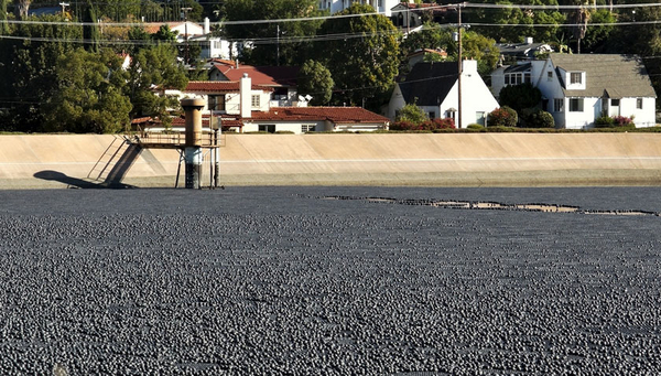 Almost 100 million plastic spheres reduce evaporation losses from the Los Angeles Ivanhoe reservoir. (Photo: Junkyardsparkle, CC0 1.0)