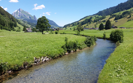 Environmental DNA samples were analysed at various locations in the River Thur (pictured in upper Toggenburg) in order to make subsequent predictions of the biodiversity of aquatic insects (Photo: Eawag, Elvira Mächler/Chelsea Little/Florian Altermatt)