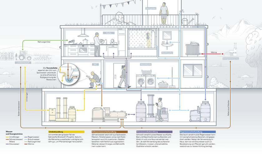 Ressourcenkreislauf am Beispiel eines Gebäudes: Die Abwasserströme werden an der Quelle getrennt, die gewonnenen Ressourcen wiederverwendet (Infografik: Daniel Röttele/ infografik.ch) 