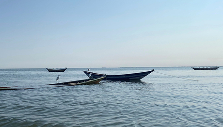 En Afrique orientale, le lac Victoria était complètement asséché pendant près de 4000 ans avant de se remplir à nouveau d’eau il y a 16 000 ans (Photo: Eawag, Nare Ngoepe). En Afrique orientale, le lac Victoria était complètement asséché pendant près de 4000 ans avant de se remplir à nouveau d’eau il y a 16 000 ans (Photo: Eawag, Nare Ngoepe).