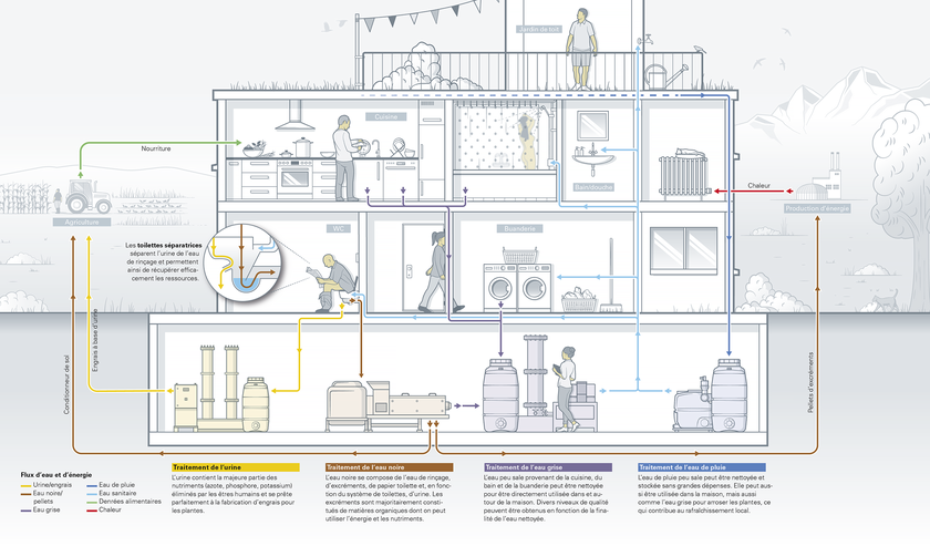 Cycle des ressources à l’échelle d’un bâtiment: les flux d’eaux usées sont séparés à la source, les ressources dégagées sont réutilisées (Infographie: Daniel Röttele / infografik.ch) 