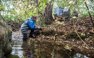 Collection of samples on the Eschelisbach (Thurgau) (Photo: Eawag, Esther Michel)