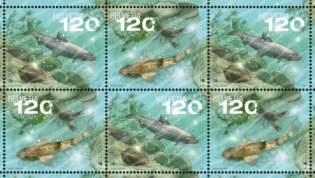 The two new Swiss postage stamps, which will be available in May, depict endangered species from Lake Thun and the River Doubs. (Image: Post CH Netz AG)