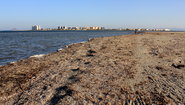 Foam and algae mean that bathing is no longer a pleasure in the Mar Menor lagoon near La Manga (Spain). Photo: Øyvind Holmstad, CC 3.0