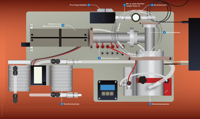 Das Innenleben des portablen Massenspektrometers miniRuedi, mit welchem gelöste Gase im Grundwasser gemessen werden (Grafik: Peter Penicka, Eawag).