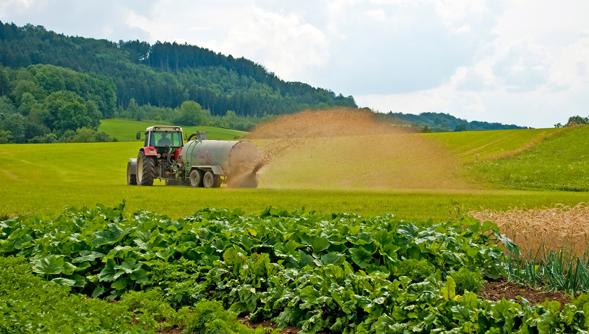 In Gebieten mit viel Landwirtschaft sind die Nitratkonzentrationen im Grundwasser höher. Doch auch andere Faktoren, die bisher wenig berücksichtigt wurden, können hohe Nitratkonzentrationen begünstigen. (Foto: Adobe Stock) 