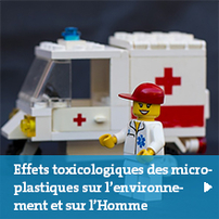 Les effets toxicologiques des microplastiques sur l'environnement et sur l'homme 