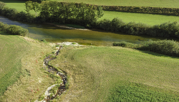 La délimitation d'espaces suffisamment grands réservés aux cours d'eau (ici au Doubs près de la Motte / JU) est controversée dans de nombreux endroits (Photo : OFEV, Ex-Press, Herbert Böhler & Flurin Bertsch).