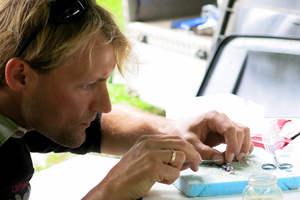 Jakob Brodersen prélevant un échantillon dans les tissus d'un jeune poisson pour l'analyser au laboratoire (Photo: Eawag)