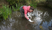 Monitoring pollutants in sediments