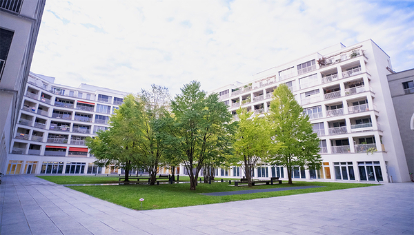 Courtyard with greenery on Heinrichstrasse, Zurich (Photo: Eawag, Lucas Gobatti).