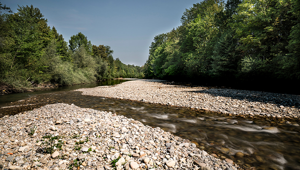 Tronçon de l'Emme renaturé dans l'Oberland bernois (Photo : Markus Bolliger, Shutterstock)