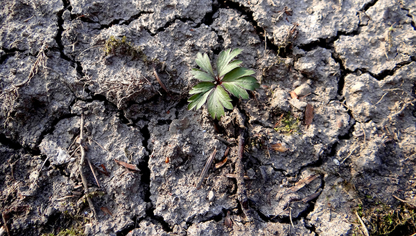 If global warming cannot be limited to 1.5 °C, approximately one third of the land area and one fifth of the population will be affected by drought.  Photo: BAFU, Judith Grundmann