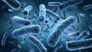 Even though the number of Legionella infections has doubled in the last ten years, they are still relatively rare. (Photo: peterschreibermedia/123RF.com)