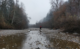 Field work in the streambed of the Emme at Aeschau. (Image: Andrea Popp)