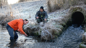 Regenwassermanagement in der dicht bebauten Stadt