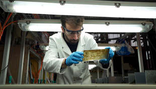 Dem Abwasser ausgesetzte Bachbiofilme im Maiandros-Rinnensystem. Louis Carles im Einsatz. (Photo: Eawag)