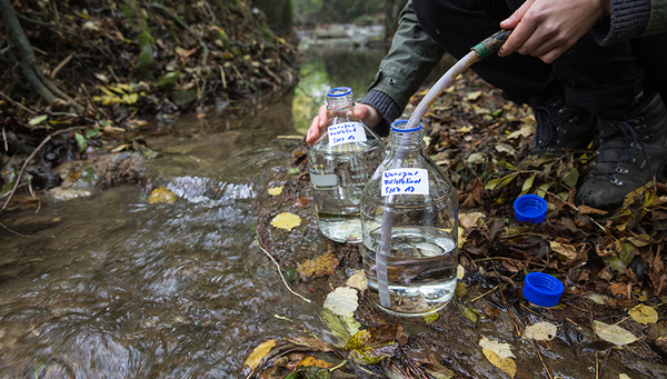 Collection of samples on the Eschelisbach, Thurgau (Photo: Eawag Esther Michel)