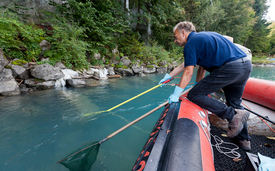 De telles berges naturelles escarpées, ici sur le lac de Brienz, constituent des habitats et des refuges pour de nombreuses espèces de poissons. Dans le cadre du Projet Lac, une pêche ciblée a également été réalisée ici. (Photo : Eawag, Stefan Kubli)  