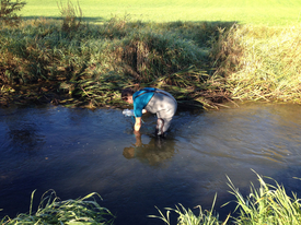 Jennifer Schollée deploying a passive sampler (Chemcatcher) at the Moossee Urtenenbach WWTP effluent discharge site. As a doctoral student, Schollée, together with Anita Hidasi, was part of the 7-strong Eawag team ... (Photo: Anita Hidasi, Eawag)