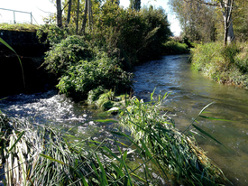 Outlet of the Moossee-Urtenenbach WWTP. (Photo: Jennifer Schollée, Eawag)